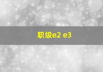 职级e2 e3